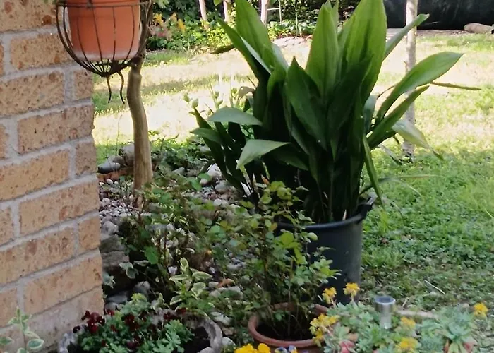 Porte Rosse Oda ve Kahvaltı 3*
